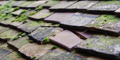 Harlington roof repair costs